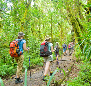 Machamerutten & Zanzibar