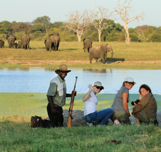 Victoriafallen & Hwange National Park