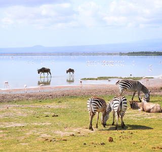 Safari i Afrikas vackraste landskap