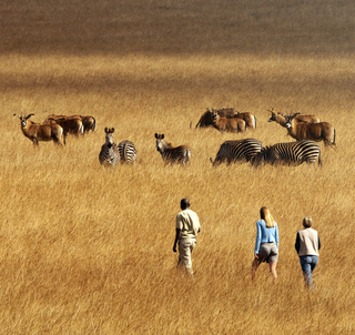 Vandringssafari - The Sangwala Trail