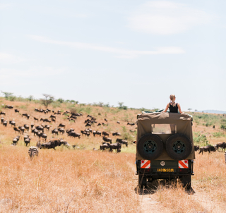 Julen 2025: Soloresa Ngorongorokratern, Serengeti & Zanzibar