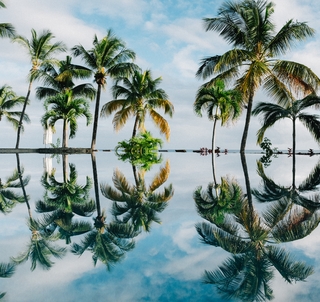 Klassisk Safari Kenya & Mauritius