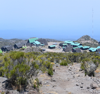 Marangurutten & Zanzibar