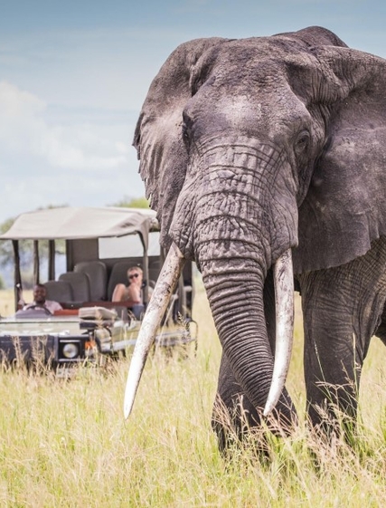 Packlista inför din safari