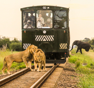 Victoria Falls & The Elephant Express till Hwange National Park