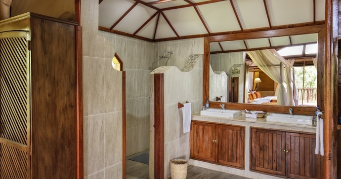 Tarangire Elephant Rock 