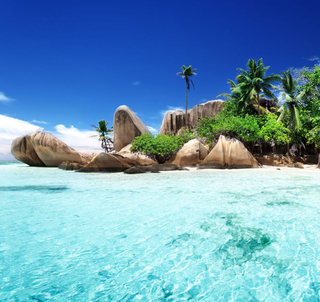 Klassisk Safari Kenya & Seychellerna