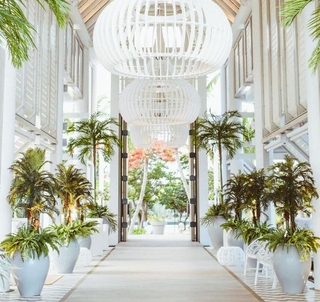 Bröllopsresa Kapstaden, Safari & Mauritius