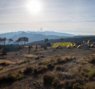 Machamerutten, Safari & Zanzibar