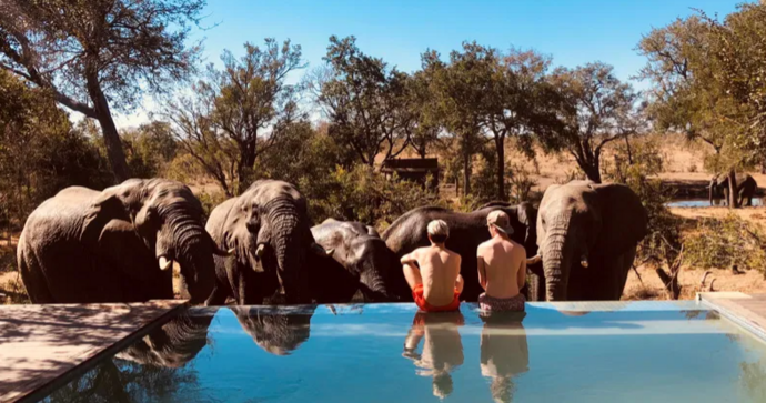 honeyguide_khoka_moya