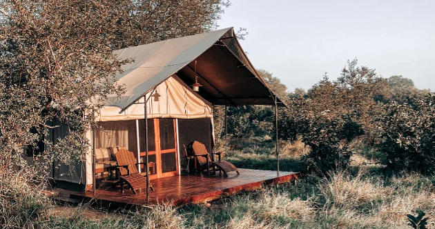 honeyguide_khoka_moya