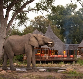 Julen 2025 Det bästa av Sydafrika