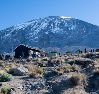 Machamerutten och safari med svensk reseledare