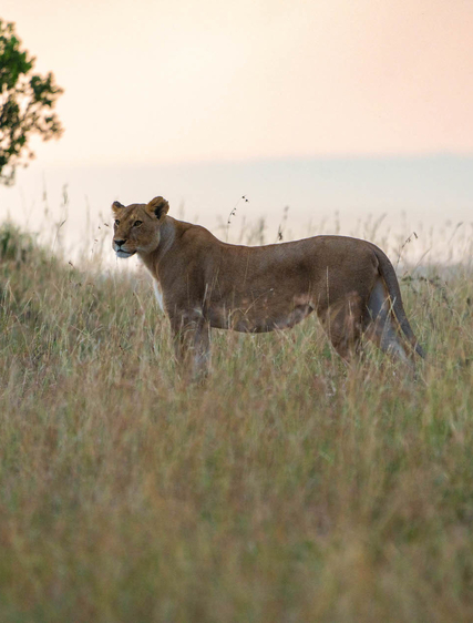 Åtta Afrikaexperter tipsar om  sina favoritställen