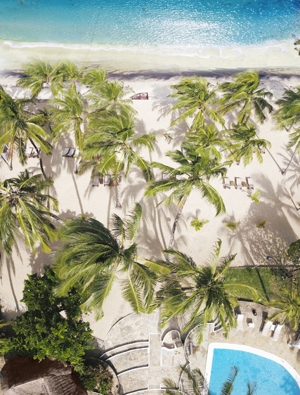 Utforska Mombasakusten – 15 aktiviteter på Kenyas kust