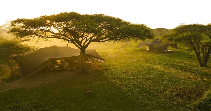 Nyuki Migration Camp