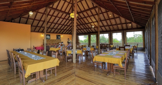 Tarangire Elephant Rock 