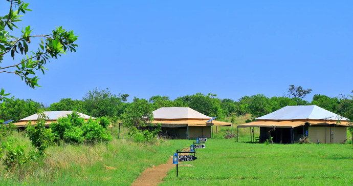 Tanzania Bush Camp Ndutu