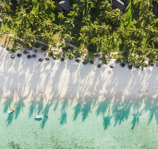 Julen 2025 Kapstaden, Safari och Mauritius