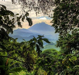 Det bästa av Rwanda