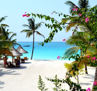 Det bästa av Zanzibar