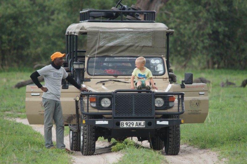 Safari i Botswana