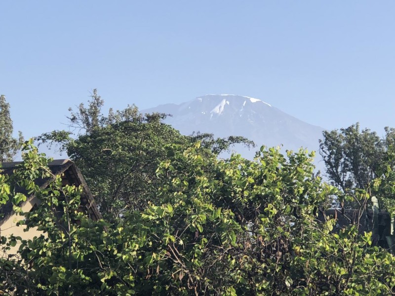 Utsikt &ouml;ver Kilimanjaro