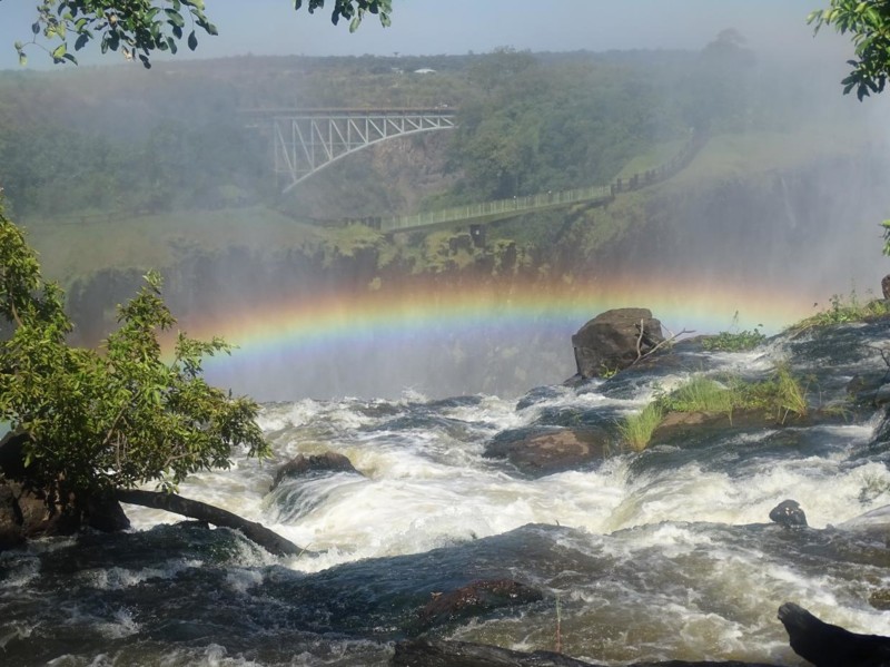 Regnb&aring;ge vid Viktoriafallen i Afrika
