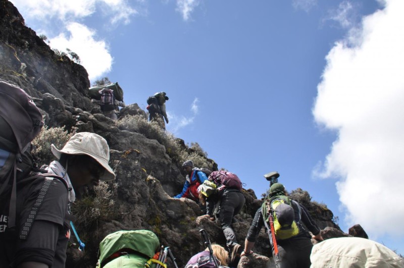 300 vandrare p&aring; v&auml;g mot toppen av Kilimanjaro