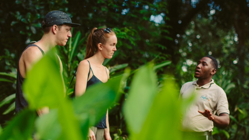 Bes&ouml;k p&aring; en kryddfarm i Zanzibar &ndash; Kryddsafari