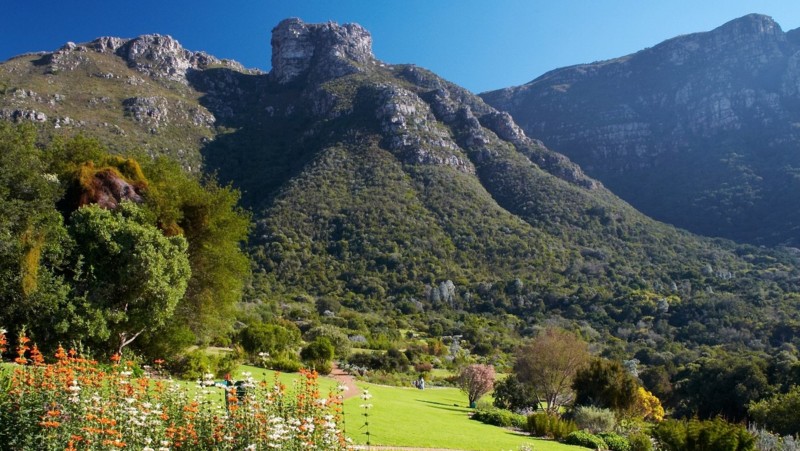 Kirstenbosch botaniska tr&auml;dg&aring;rd