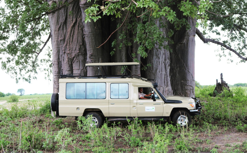 Boka privat safaribil