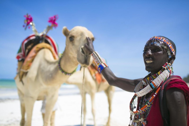 Kenyansk kvinna med traditionella kl&auml;der klappar en kamel p&aring; strand i Afrika.