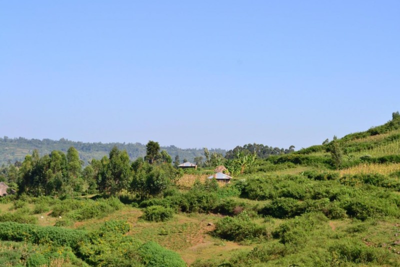 Vackert landskap i Kenya