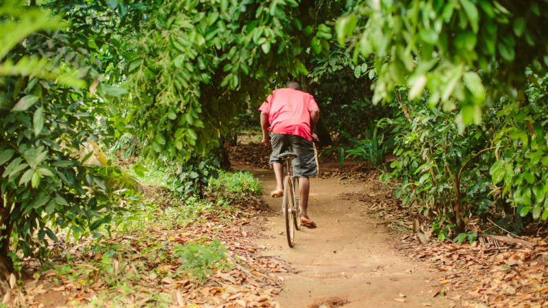 Utforska Zanzibar bortom turiststr&aring;ken &ndash; med cykel, buss eller tuktuk