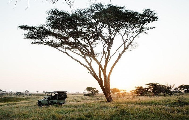 Serengeti &auml;r en plats du m&aring;ste uppleva!