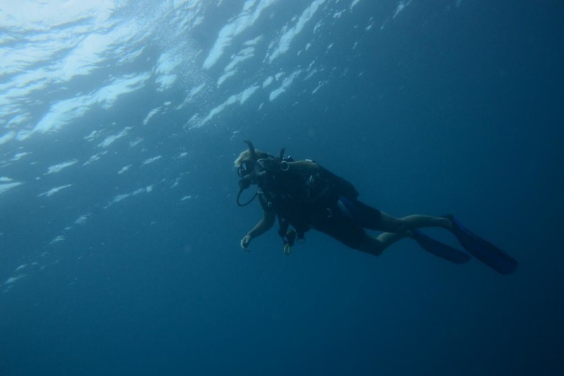 Dykning i indiska oceanen