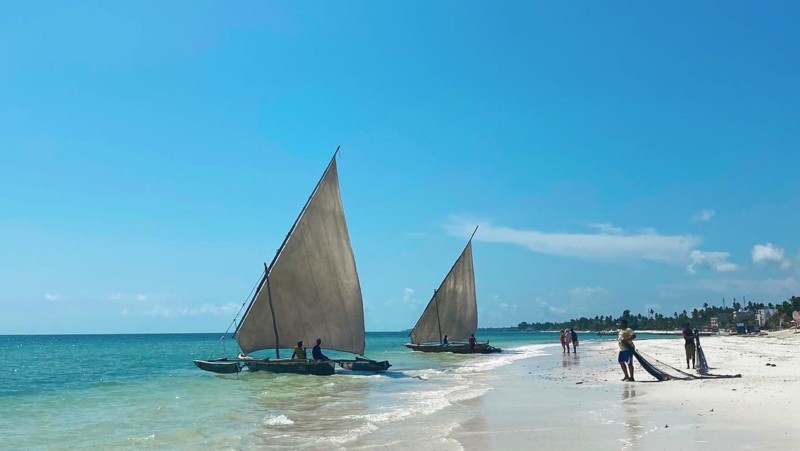 Segling i Zanzibar med en traditionell dhow