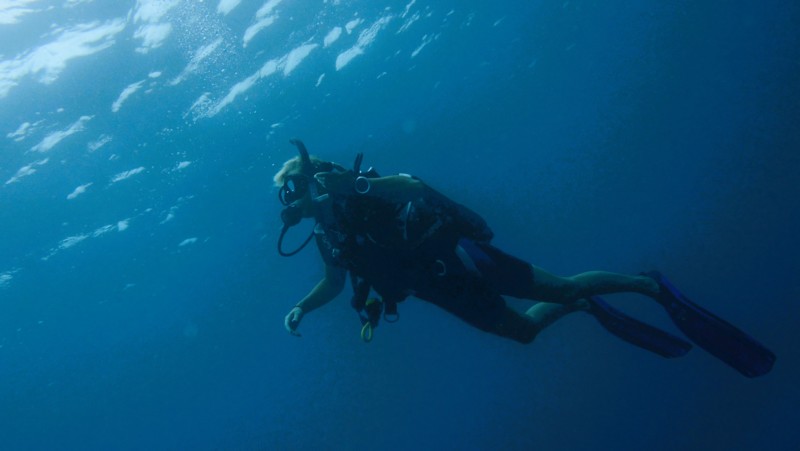 Dykning i Zanzibar. Uppt&auml;ck livet under ytan.