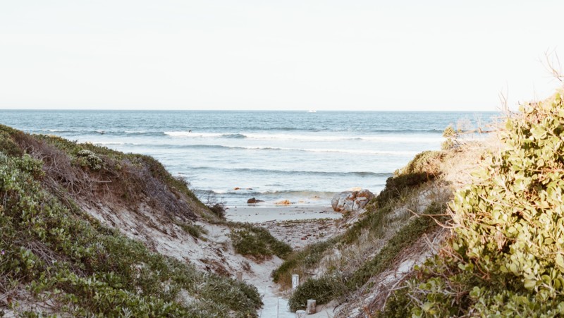 Valsafari fr&aring;n Hermanus.