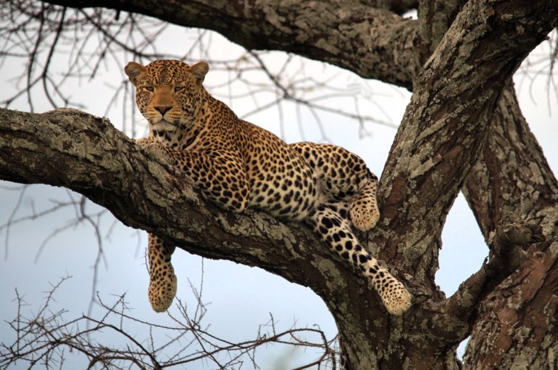 Ordna vaccinationer i god tid&nbsp;