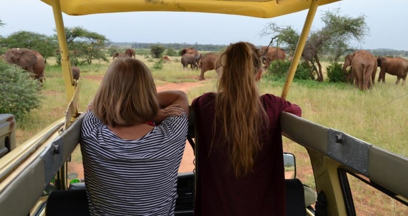 M&ouml;te med elefanter p&aring; safariresan