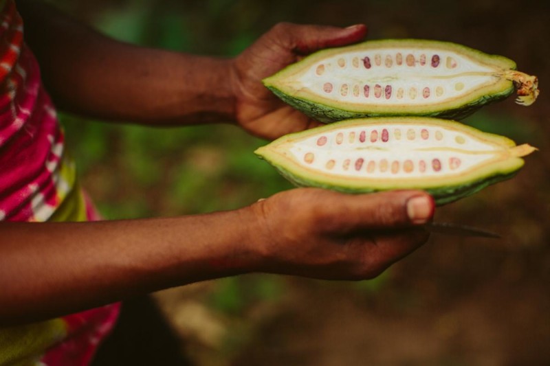 Kryddvandring i Zanzibar