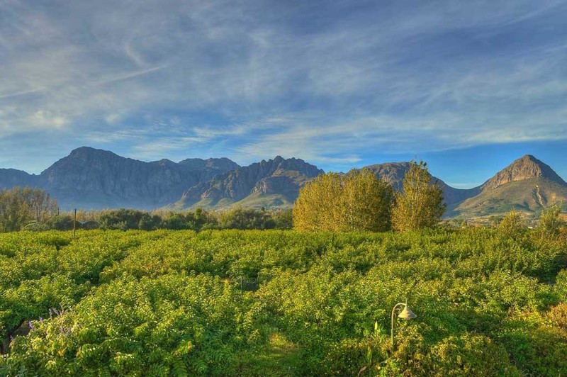 Vackra vyer &ouml;ver vindistriktet. En utflykt till vindistriktet passar b&aring;de stora och sm&aring;!