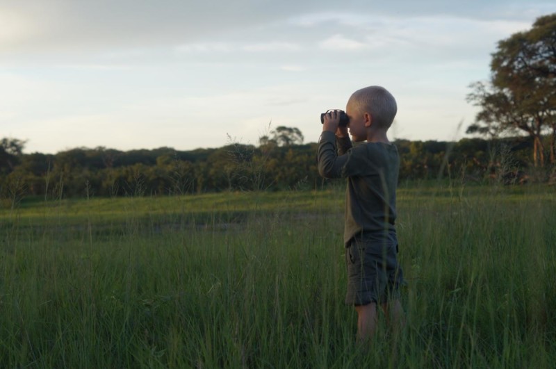 Litet barn kikar ut &ouml;ver savannen