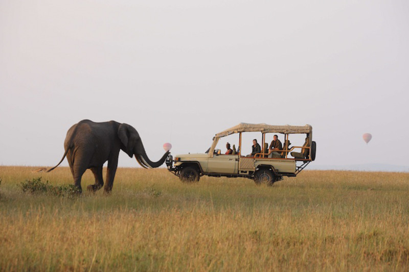 Elefant st&aring;r framf&ouml;r jeep p&aring; safari i Kenya med luftballonger i bakgrunden.