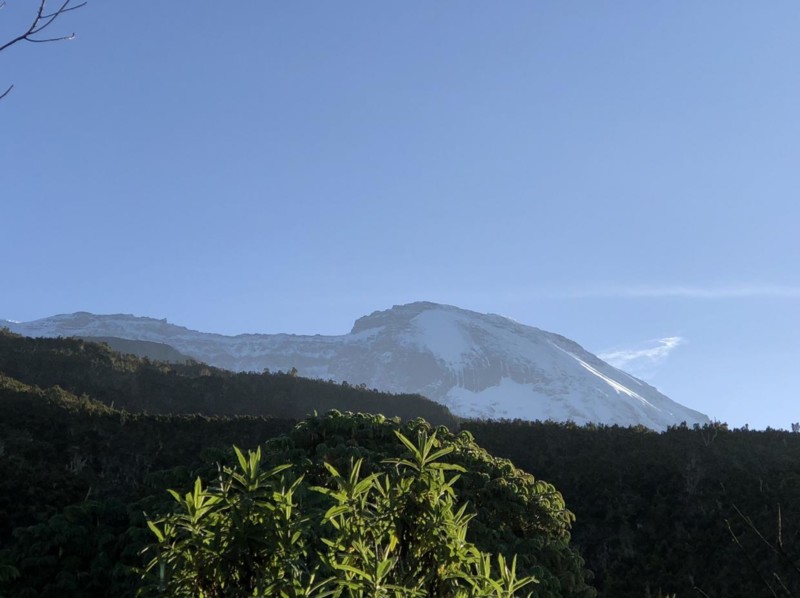 Vacker bild av Kilimanjaro