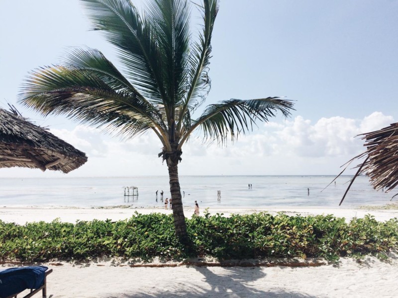 Kritvita str&auml;nder p&aring; Zanzibar