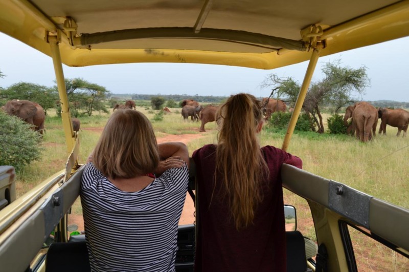 M&ouml;te med elefanter p&aring; safariresan
