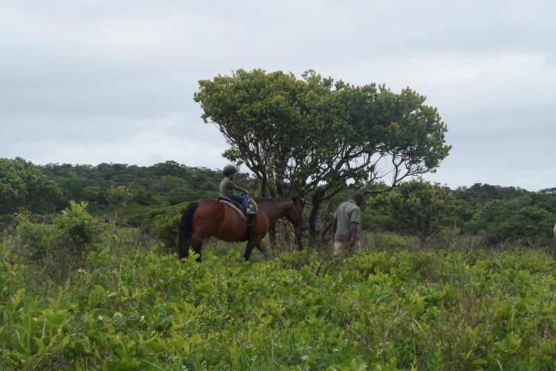 Ola rider genom bushen, en upplevelse som han sent kommer att gl&ouml;mma!